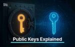 What is Public Keys
