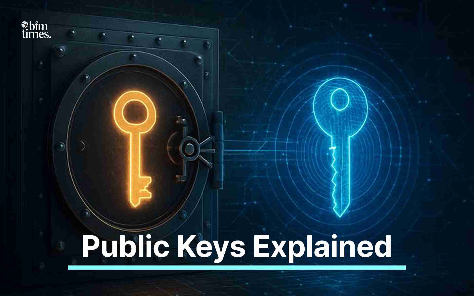What is Public Keys