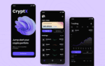 What is Crypto Wallet