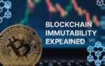 Blockchain Immutability