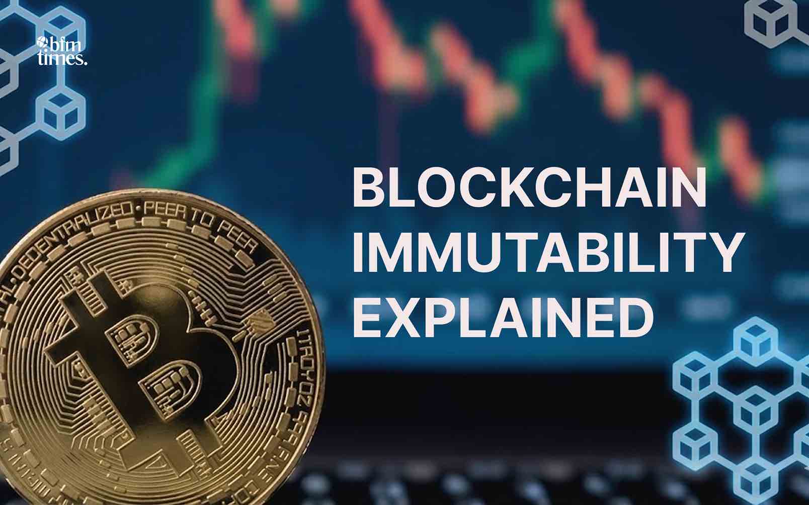 Blockchain Immutability