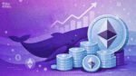 Ethereum Whale Purchase