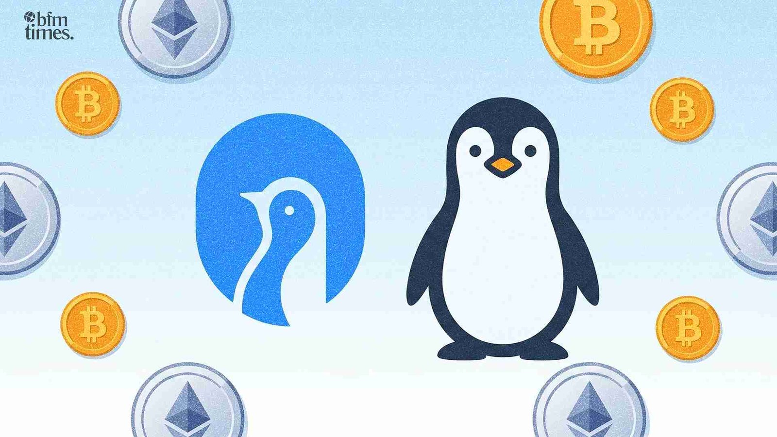 Antartic wallet