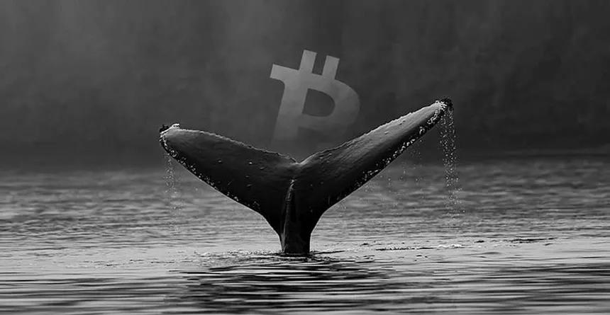 crypto market manipulation